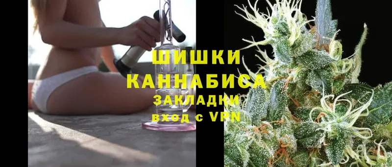 что такое   Тосно  Канабис SATIVA & INDICA 